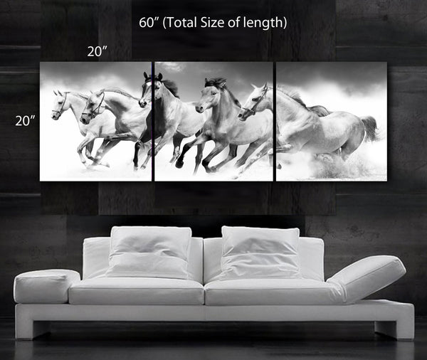 LARGE 20"x 60" 3 panels Art Canvas Print beautiful Horses Black & White Wall - BoxColors