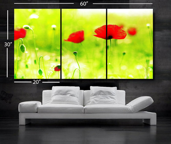 LARGE 30"x 60" 3 Panels Art Canvas Print beautiful Poppies Flowers Floral Red Green Yellow Wall Home (Included framed 1.5" depth) - BoxColors