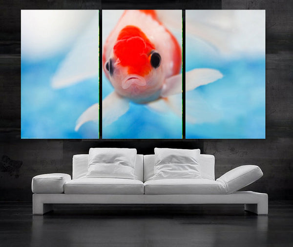 LARGE 30"x 60" 3 Panels Art Canvas Print beautiful  Fish Aquarium Wall decorative home interior (Included framed 1.5" depth) - BoxColors