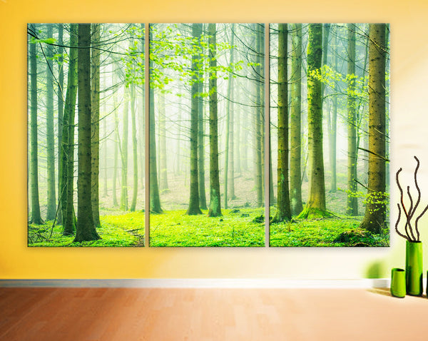 Art Canvas Print beautiful Spring nature forest scenery Wall home office decor interior - BoxColors