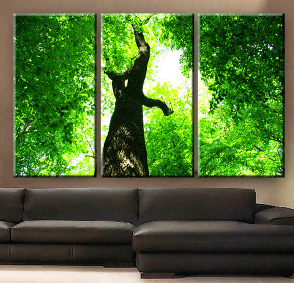 Art Canvas Print beautiful Tree Forest green leaves under the sun Wall home office decor interior - BoxColors