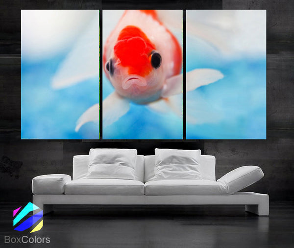 LARGE 30"x 60" 3 Panels Art Canvas Print beautiful  Fish Aquarium Wall decorative home interior (Included framed 1.5" depth) - BoxColors