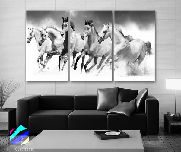LARGE 30"x 60" 3 Panels Art Canvas Print beautiful Horses White animals Wall Home Office Decor interior (Included framed 1.5" depth) - BoxColors